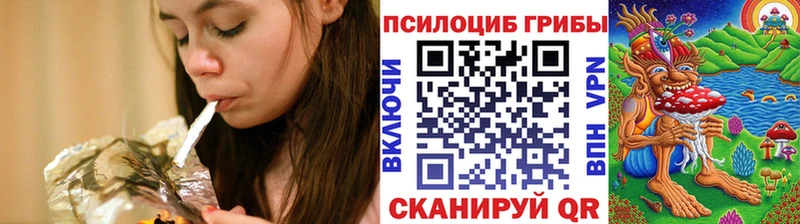 Псилоцибиновые грибы Psilocybe  Коряжма 